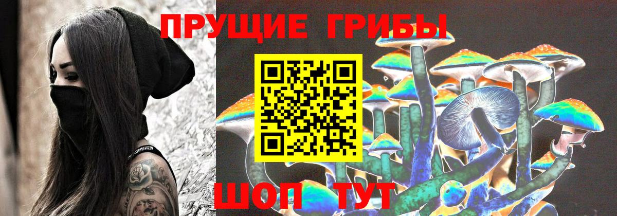Галлюциногенные грибы MAGIC MUSHROOMS Конаково